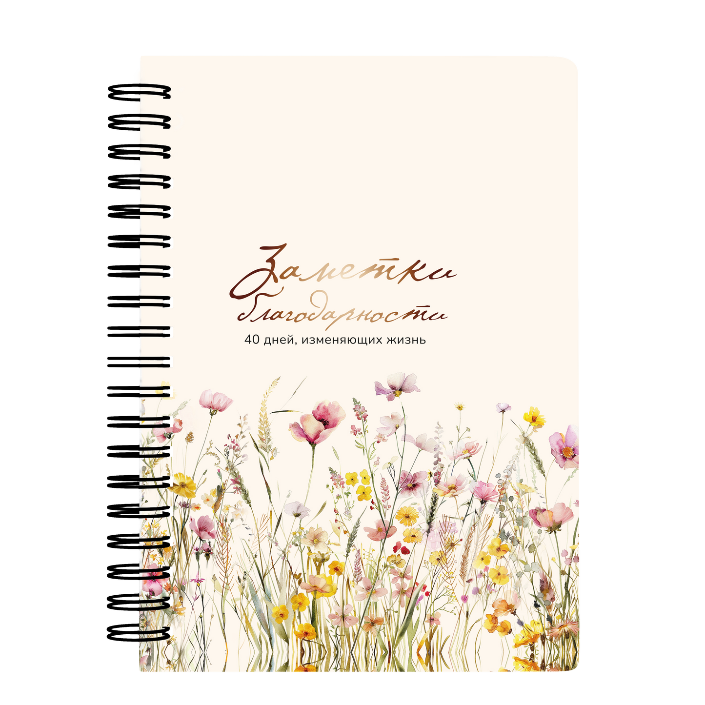 Дневник "Заметки благодарности"