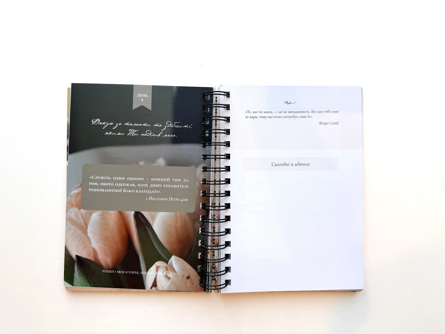 Дневник "Заметки благодарности"